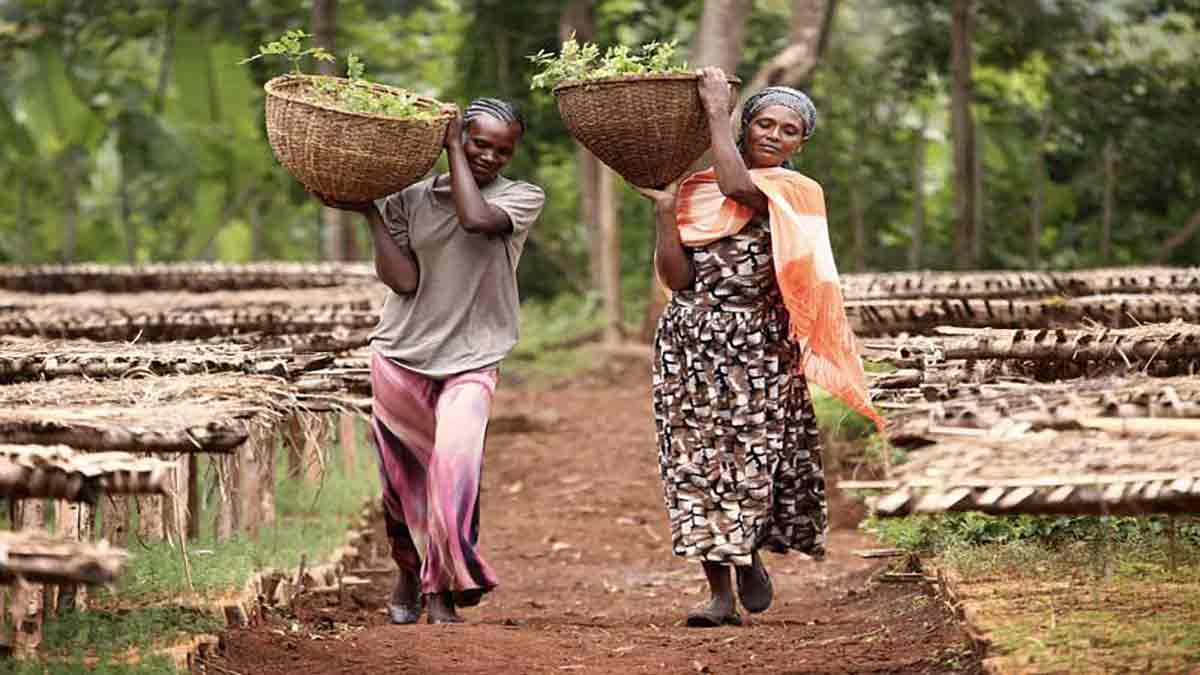 Les agriculteurs avec lesquels nous travaillons